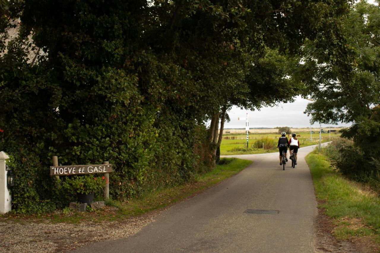 Hoeve Te Gast - Vakantieboerderij グルート エクステリア 写真